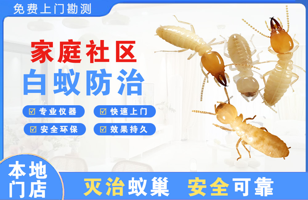 开江家庭社区白蚁防治