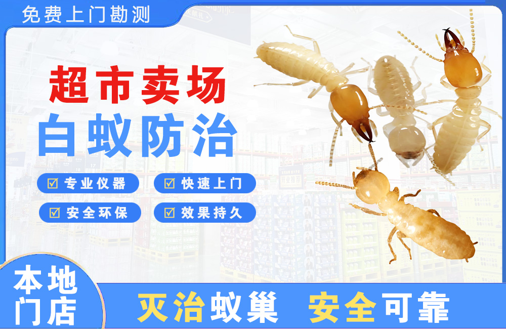 开江超市卖场白蚁防治