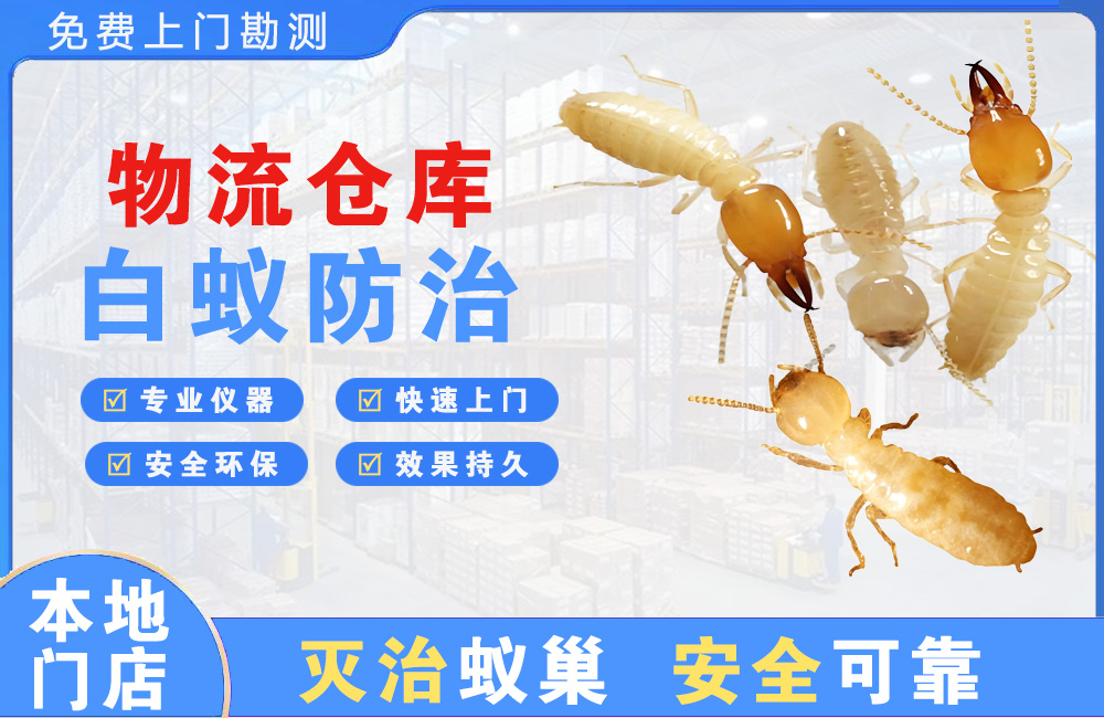 开江物流仓库白蚁防治