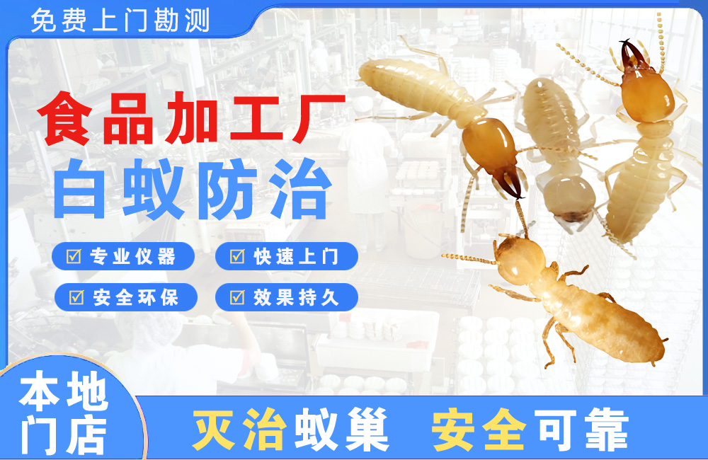 开江食品加工厂白蚁防治