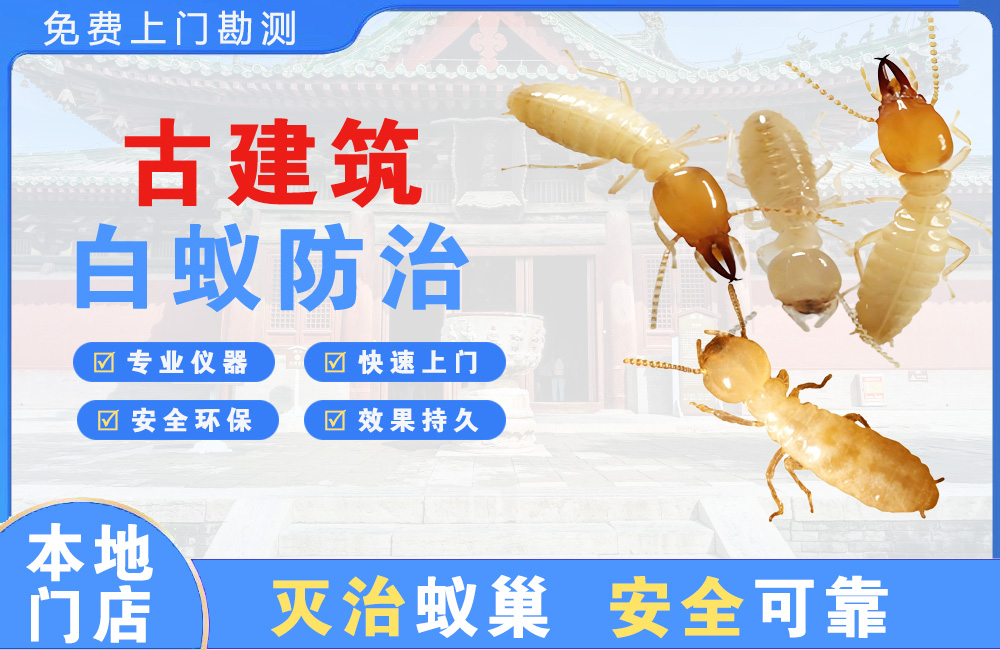 开江古建筑白蚁防治