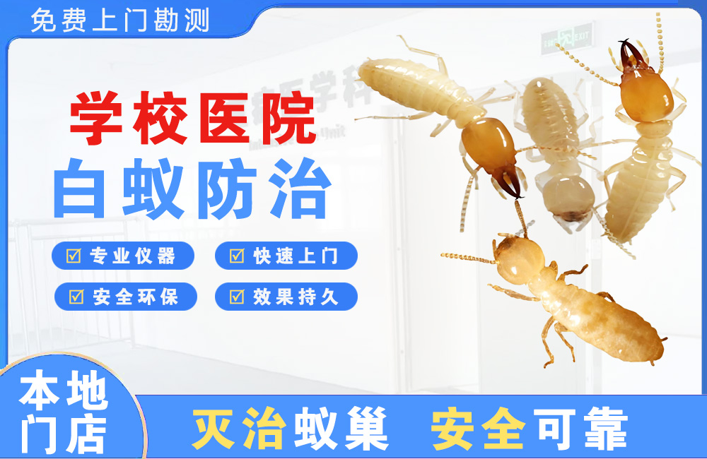 开江学校医院白蚁防治