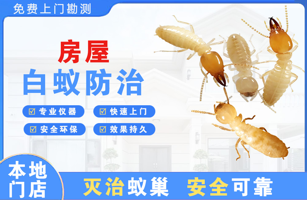 开江房屋白蚁防治