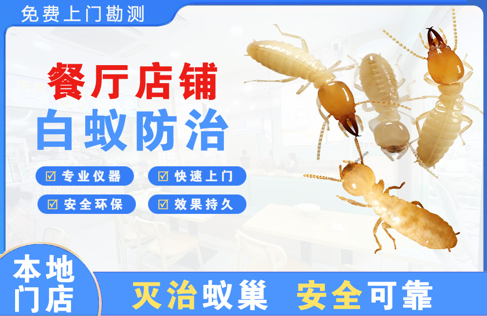 开江餐厅店铺白蚁防治